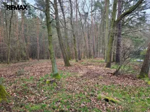 Prodej pozemku pro bydlení, Chyňava, 1246 m2