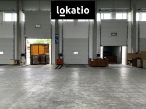 Pronájem skladu, Čelákovice, 10000 m2