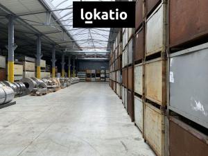 Pronájem skladu, Čelákovice, 10000 m2