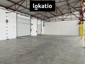 Pronájem skladu, Čelákovice, 10000 m2