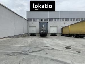 Pronájem skladu, Čelákovice, 10000 m2