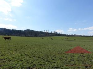 Prodej pozemku pro bydlení, Janovice nad Úhlavou, 11860 m2