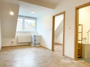 Pronájem bytu 3+kk, Brno, Šimáčkova, 36 m2