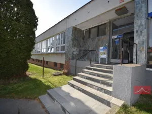 Pronájem výrobních prostor, Pelhřimov, Pražská, 665 m2