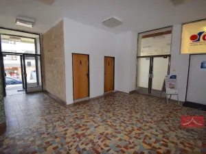 Pronájem výrobních prostor, Pelhřimov, Pražská, 665 m2