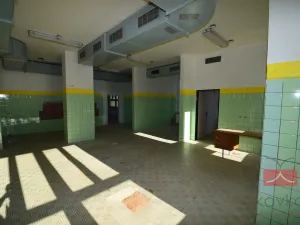 Pronájem výrobních prostor, Pelhřimov, Pražská, 665 m2