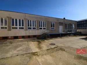 Pronájem výrobních prostor, Pelhřimov, Pražská, 665 m2