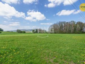 Prodej trvalého travního porostu, Palkovice, 11100 m2