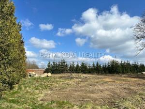Prodej pozemku pro bydlení, Libníč, 1500 m2