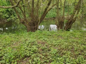 Prodej zahrady, Vinec, 251 m2