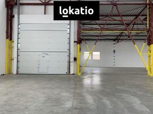 Pronájem skladu, Čelákovice, 4000 m2