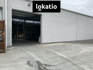 Pronájem skladu, Čelákovice, 4000 m2