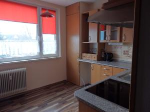 Pronájem bytu 1+1, Břidličná, Nerudova, 38 m2