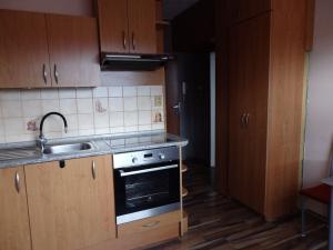 Pronájem bytu 1+1, Břidličná, Nerudova, 38 m2