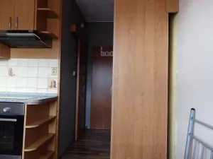 Pronájem bytu 1+1, Břidličná, Nerudova, 37 m2