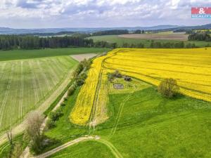 Prodej zemědělské půdy, Ostrov u Bezdružic - Pláň, 6672 m2