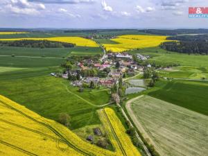 Prodej zemědělské půdy, Ostrov u Bezdružic - Pláň, 6672 m2