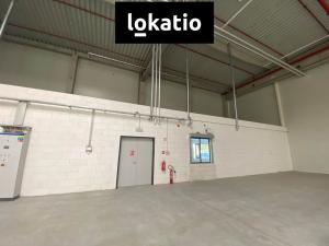Pronájem skladu, Ostrava, 1589 m2