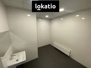 Pronájem skladu, Ostrava, 1589 m2