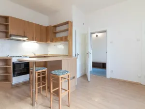 Pronájem bytu 2+kk, Olomouc, 17. listopadu, 44 m2