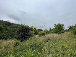 Prodej pozemku pro bydlení, Mnichovice, 4428 m2