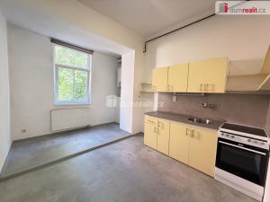 Pronájem bytu 1+1, Ústí nad Labem, Šaldova, 45 m2