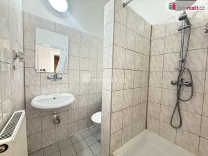 Pronájem bytu 1+1, Ústí nad Labem, Šaldova, 45 m2
