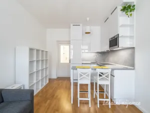 Pronájem bytu 1+kk, Praha - Vinohrady, Záhřebská, 28 m2