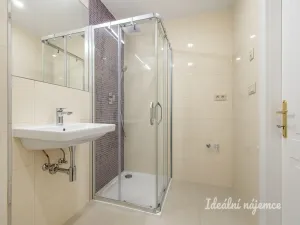 Pronájem bytu 1+kk, Praha - Vinohrady, Záhřebská, 28 m2