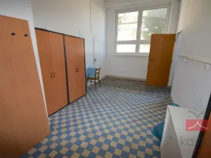 Pronájem komerční nemovitosti, Jindřichův Hradec - Otín, 1850 m2