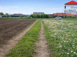 Prodej pozemku pro bydlení, Drásov, 2635 m2