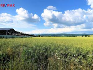 Prodej zemědělské půdy, Dolany, 5000 m2