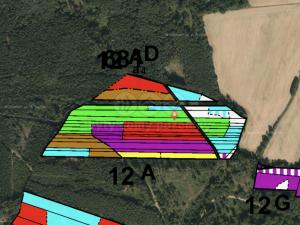 Prodej lesa, Troubelice - Pískov, 12541 m2