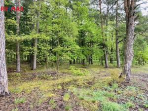 Prodej rodinného domu, Nezabudice, 410 m2