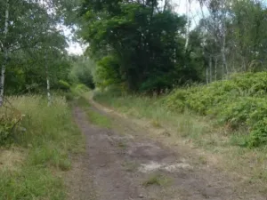 Prodej pozemku pro komerční výstavbu, Mariánské Radčice, 2845 m2