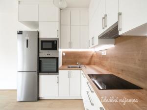 Pronájem bytu 2+kk, Praha - Žižkov, Olgy Havlové, 52 m2