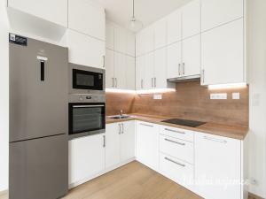 Pronájem bytu 2+kk, Praha - Žižkov, Olgy Havlové, 52 m2