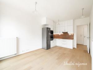 Pronájem bytu 2+kk, Praha - Žižkov, Olgy Havlové, 52 m2
