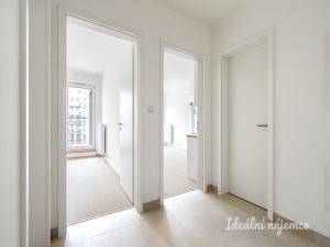 Pronájem bytu 2+kk, Praha - Žižkov, Olgy Havlové, 52 m2
