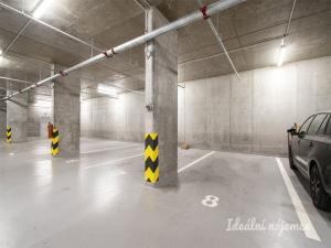 Pronájem bytu 2+kk, Praha - Žižkov, Olgy Havlové, 52 m2
