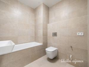 Pronájem bytu 2+kk, Praha - Žižkov, Olgy Havlové, 52 m2