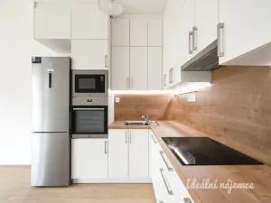 Pronájem bytu 2+kk, Praha - Žižkov, Olgy Havlové, 52 m2