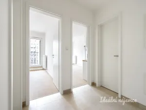 Pronájem bytu 2+kk, Praha - Žižkov, Olgy Havlové, 52 m2