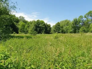 Prodej pozemku pro bydlení, Hukvaldy, 9808 m2