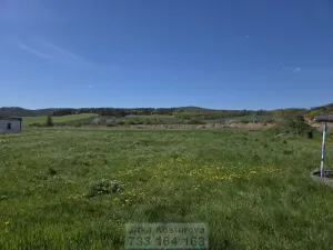 Prodej pozemku pro bydlení, Krnov - Krásné Loučky, 700 m2