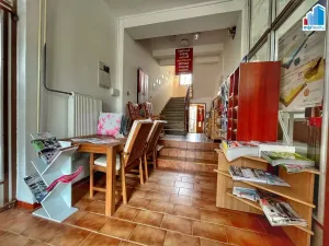 Prodej komerční nemovitosti, Domažlice, Husova třída, 514 m2