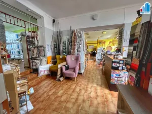 Prodej komerční nemovitosti, Domažlice, Husova třída, 514 m2