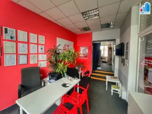 Prodej komerční nemovitosti, Domažlice, Husova třída, 514 m2