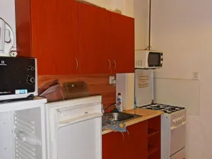 Pronájem atypického bytu, Olomouc, Wellnerova, 20 m2