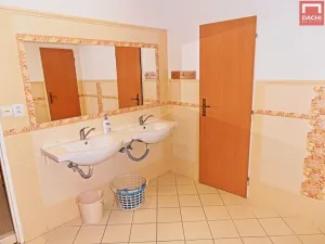 Pronájem atypického bytu, Olomouc, Wellnerova, 20 m2
